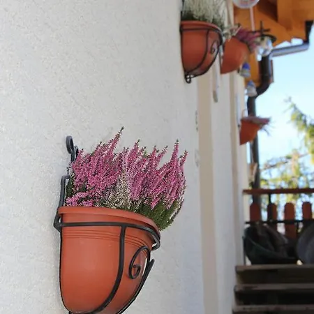 Casa Da Elda Appartamento
