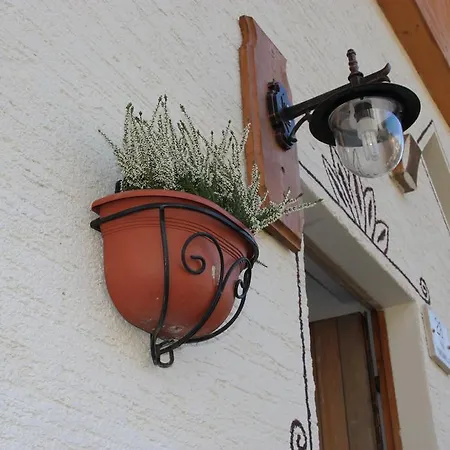 Appartamento Casa Da Elda San Martino Di Castrozza